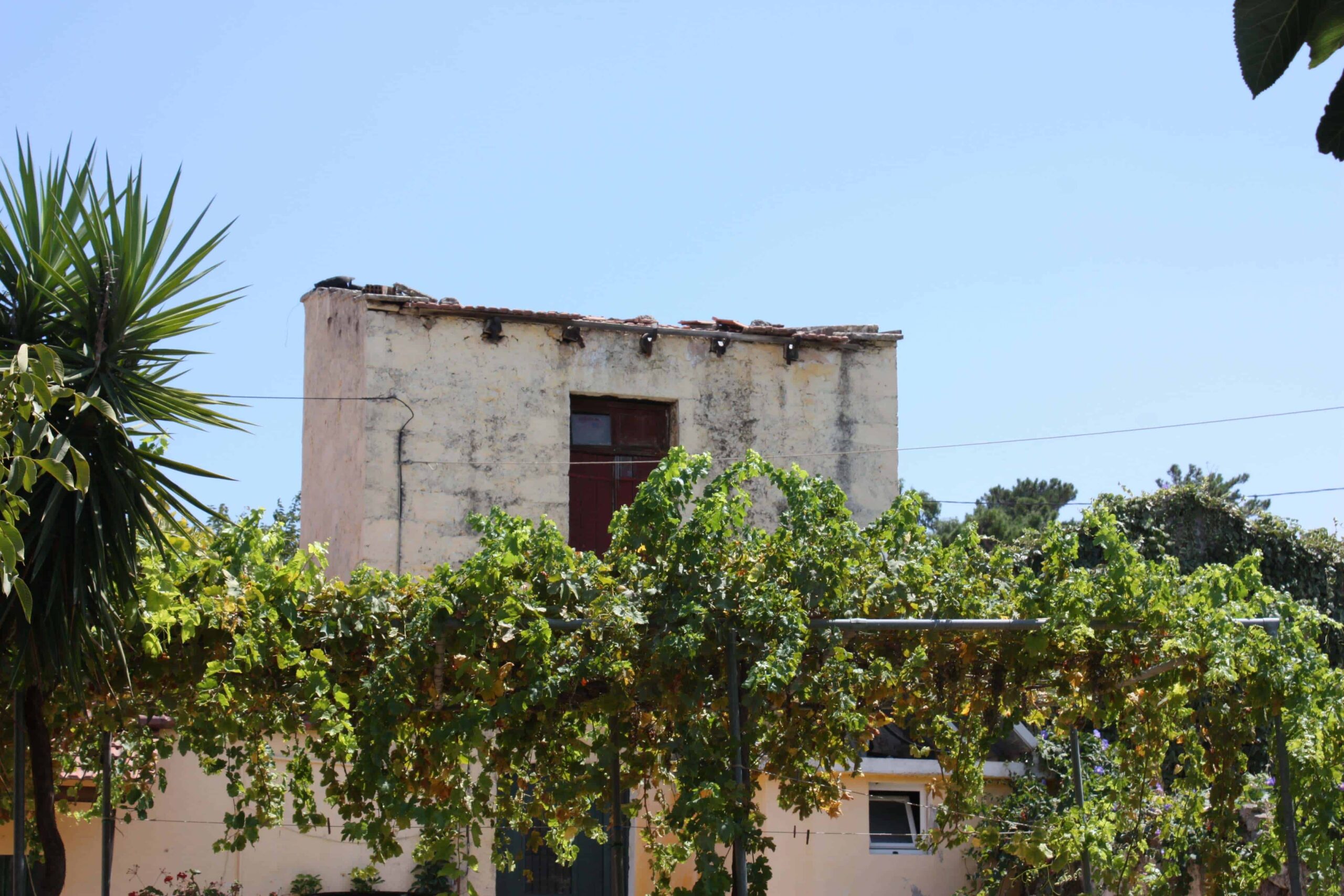 crete_lux_travle_chania_tradinional_tour